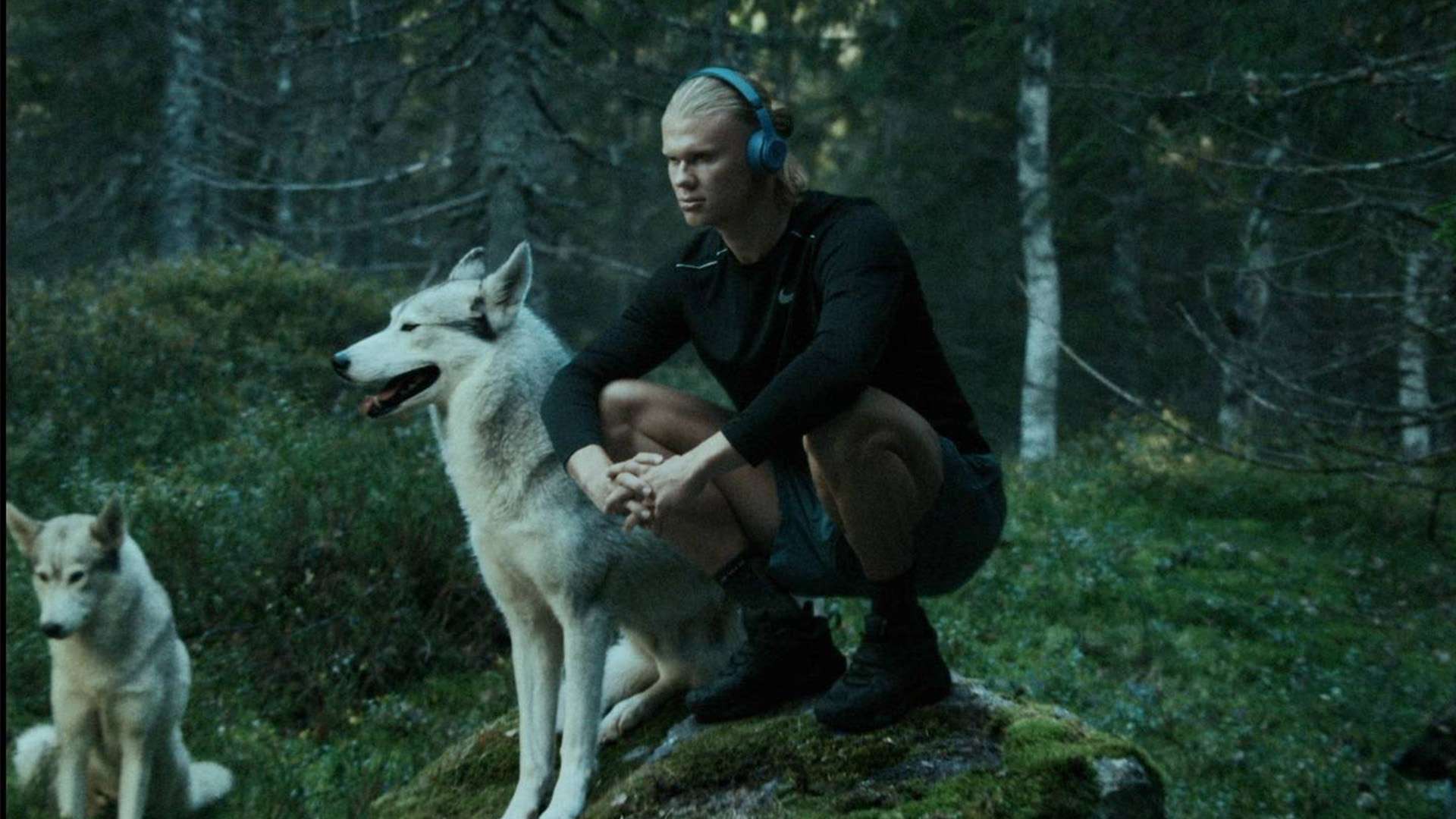 心理辅导和 心理辅导和